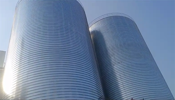 临沧2座混凝土高架卷板仓